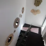 Modern 250mt From The